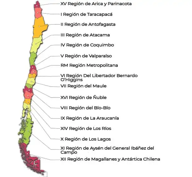 Envíos Y Despachos