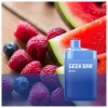 Geek Bar Raspberry Watermelon 5000 Puff