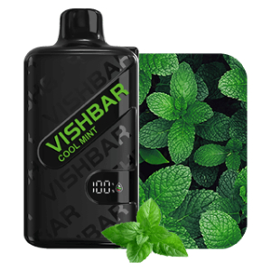 Vishbar Weekly 20000 Puffs Cool Mint