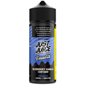Just Juice Blueberry Vanilla Custard 120ml