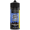 Just Juice Blueberry Vanilla Custard 120ml
