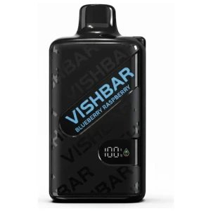 VISHBAR WEEKLY 20000 Puffs Blueberry Raspberry