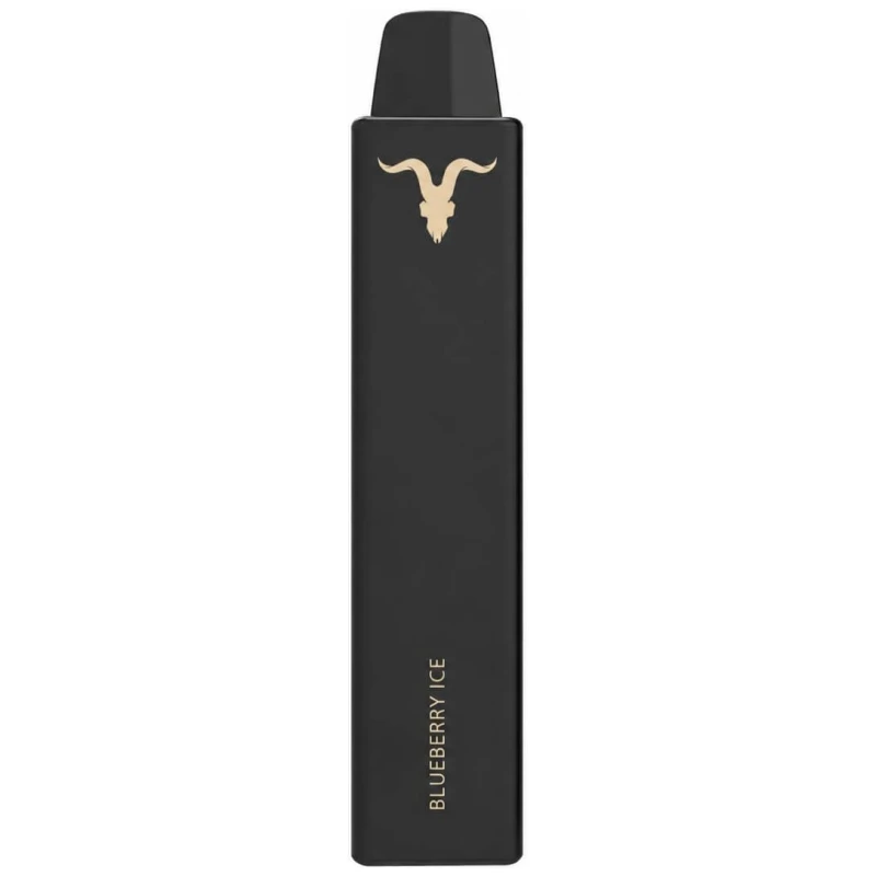 VNANO Blueberry Ice 2