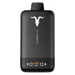 Inicio 23 IGNITE V155 Ultra Slim Blueberry Ice 15500 Puffs