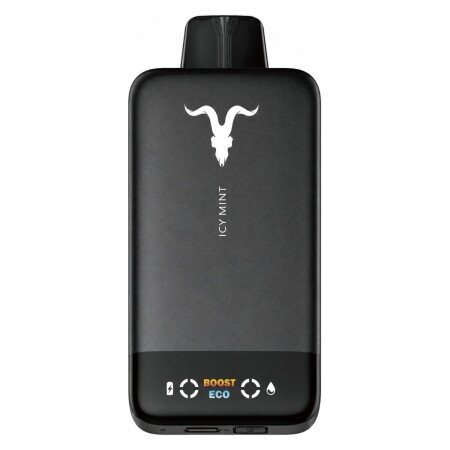 IGNITE V155 Ultra Slim Icy Mint 15500 Puffs