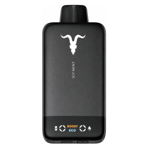 Inicio 25 IGNITE V155 Ultra Slim Icy Mint 15500 Puffs